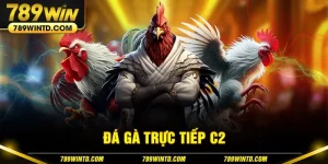 Đá gà trực tiếp C2